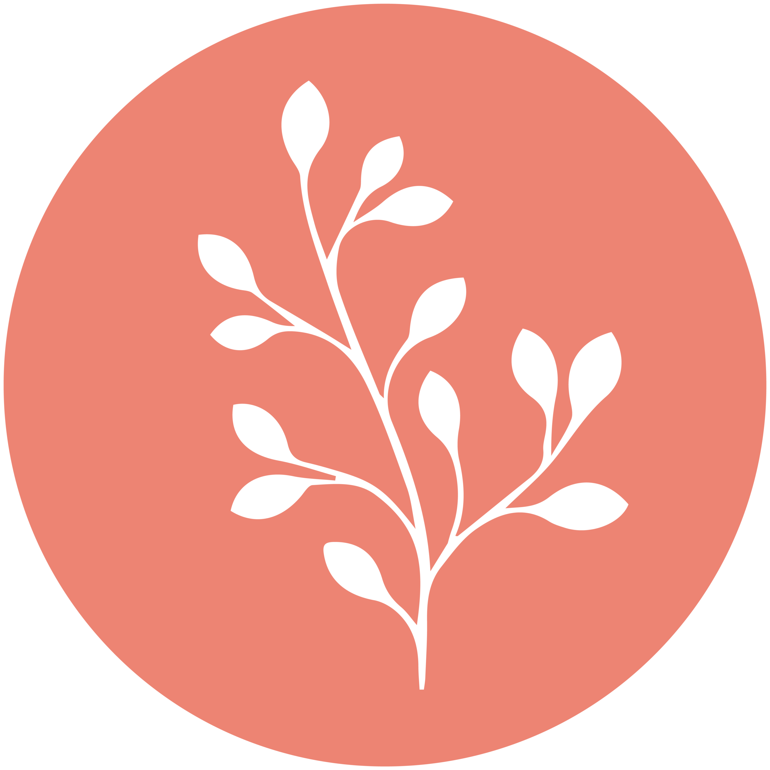 Hablemos En Simple_Colores_1080x1080_sinfondo-26